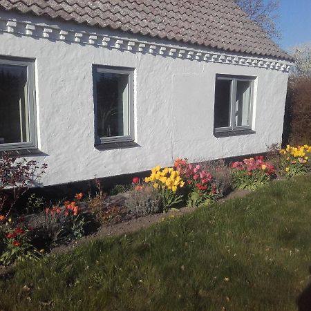 Lindholt Bed and Breakfast Fjerritslev Exteriör bild
